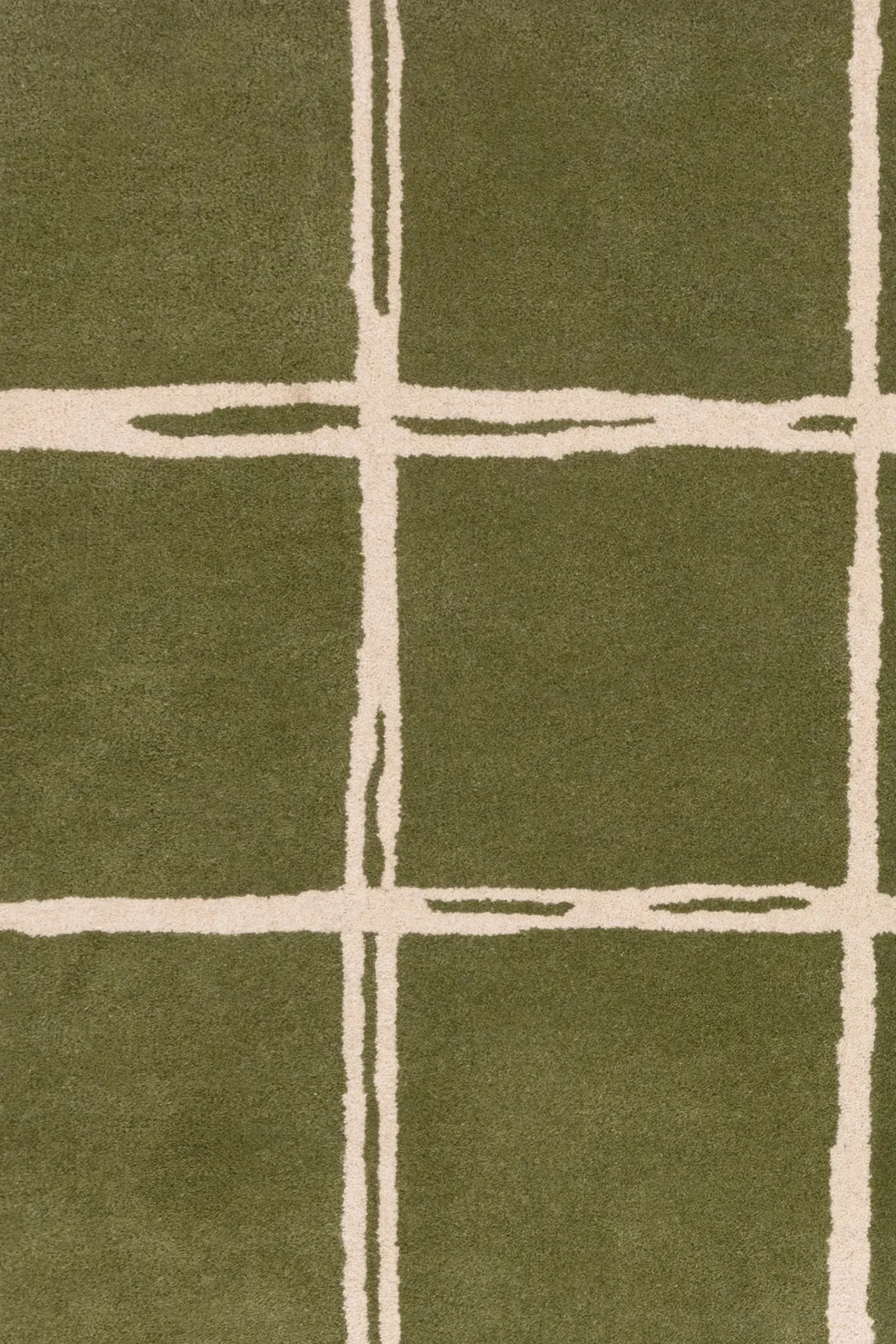 Albany Rug*Asiatic Rugs New
