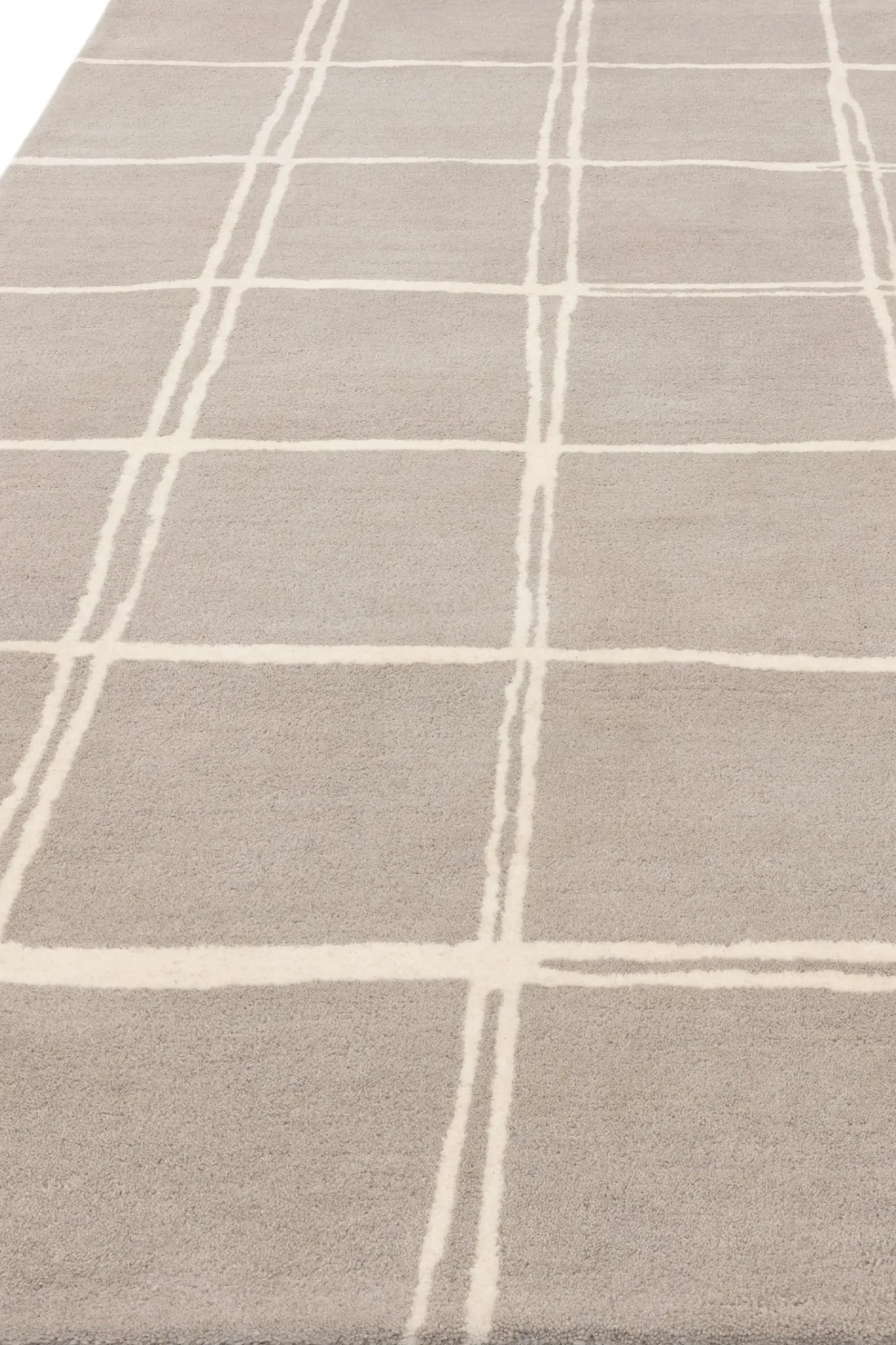 Albany Rug*Asiatic Rugs New