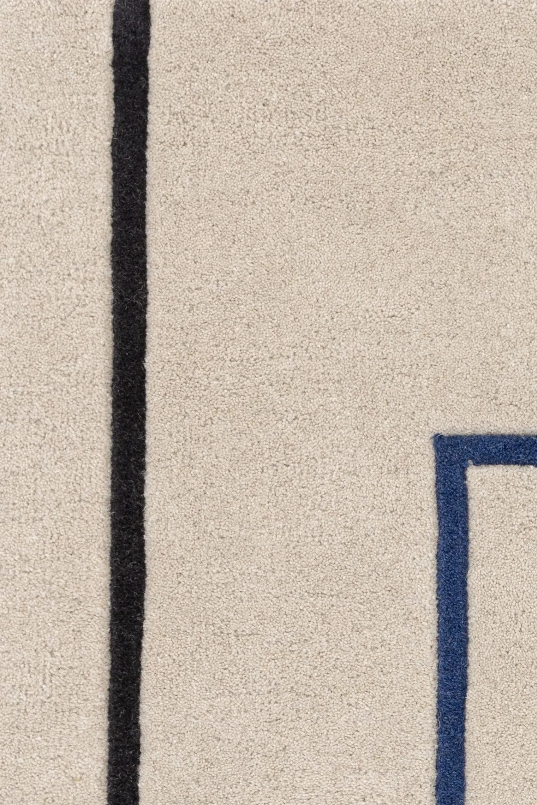 Reef Outline Rug*Asiatic Rugs Store