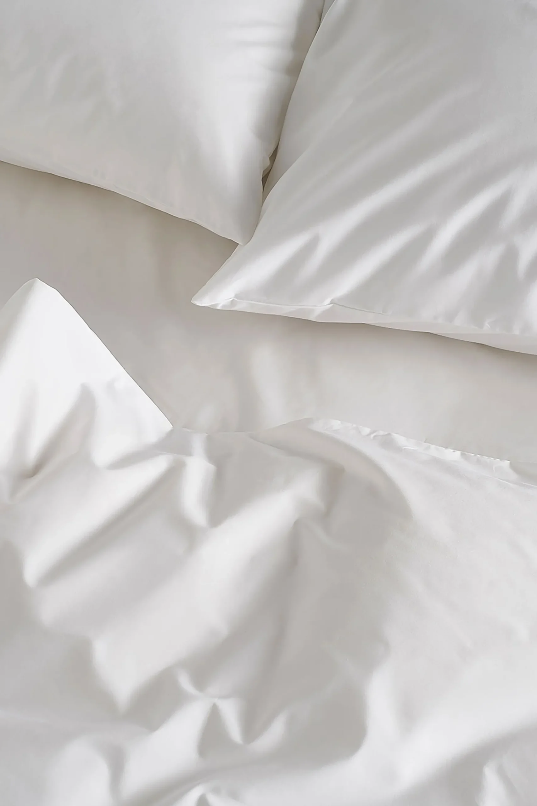 Classic 100% Cotton Fitted Sheet*Bedfolk New